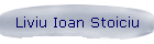Liviu Ioan Stoiciu
